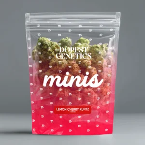 MINIS Lemon Cherry Runtz Hybrid Flower